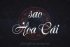 Sao Hoa Cái là gì? Ý nghĩa khi Hoa Cái tọa thủ tại các cung trong Tử Vi