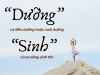 Cải tạo Vận Mệnh: Tầng 11 – Dưỡng sinh: không giữ được thân, thì giữ cái gì?