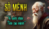 Cải tạo Vận Mệnh: Tầng 1 – "Mệnh": chiếc xe cuộc đời bạn được bàn giao ngay từ lúc sinh ra