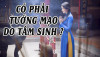Cải tạo Vận Mệnh: Tầng 6 – "Tướng mạo": gương mặt là tờ biên lai của nội tâm