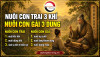 Nuôi con trai 3 Khí, nuôi con gái 3 Dung