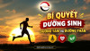 Bí quyết Dưỡng sinh – Dưỡng tâm và Dưỡng thân: Trở về sự cân bằng của tự nhiên