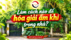 Làm cách nào để hóa giải âm khí trong nhà?