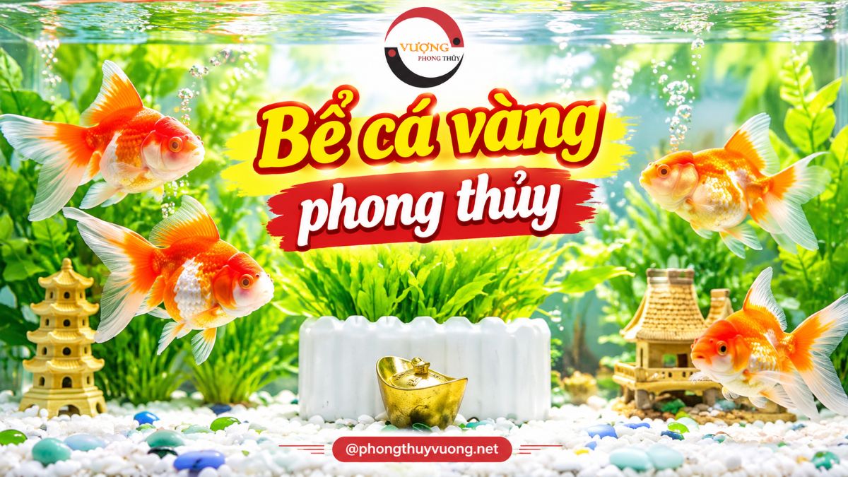 Bể cá vàng phong thủy