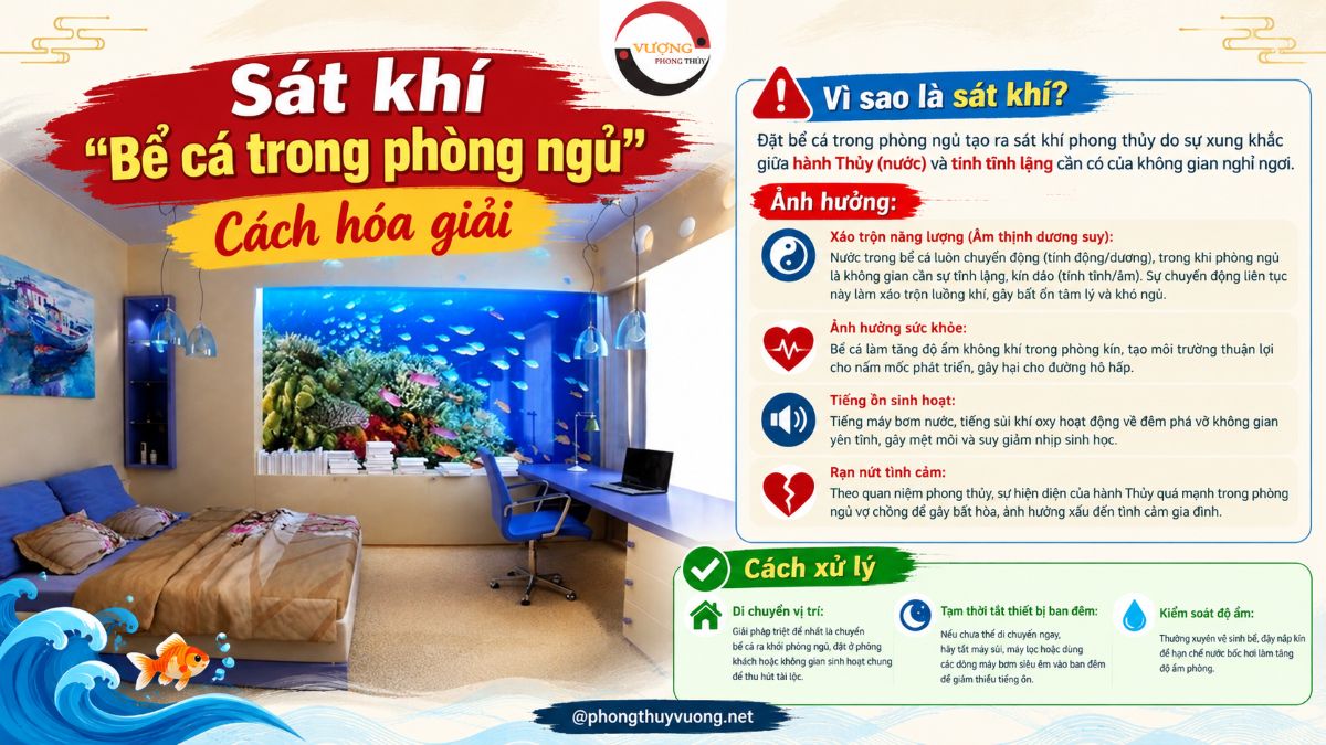 Sát khí "Bể cá trong phòng ngủ" là gì? Cách hóa giải